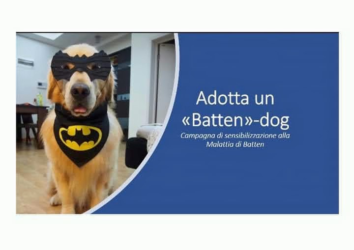 Batten Dog