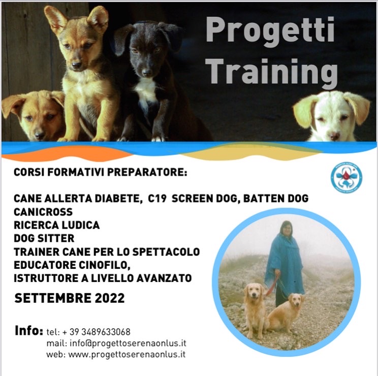 corsi training