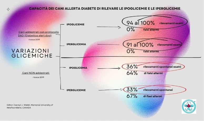 affidabilità dei cani allerta diabete
