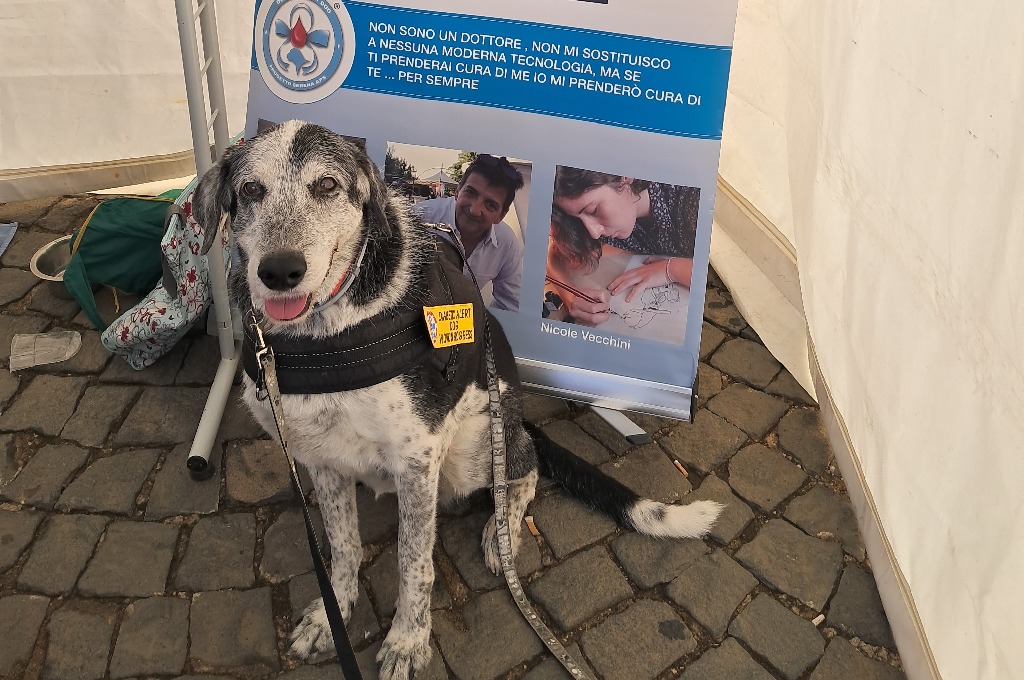 Cosa sono i cani da allerta medica