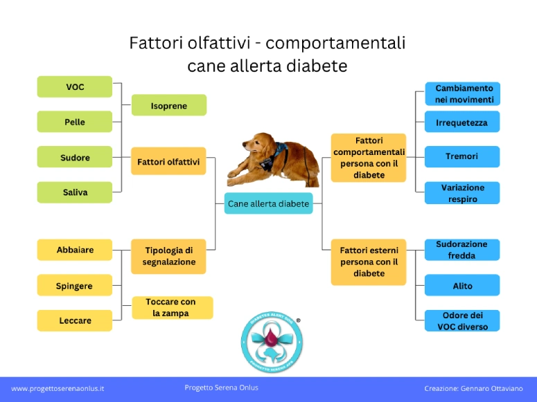 Fattori olfattivi comportamentali cane allerta diabete