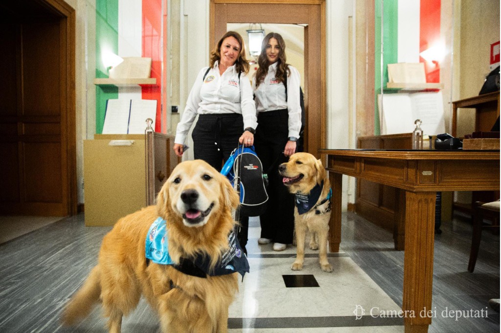 Cani da diabete presso Camera dei Deputati