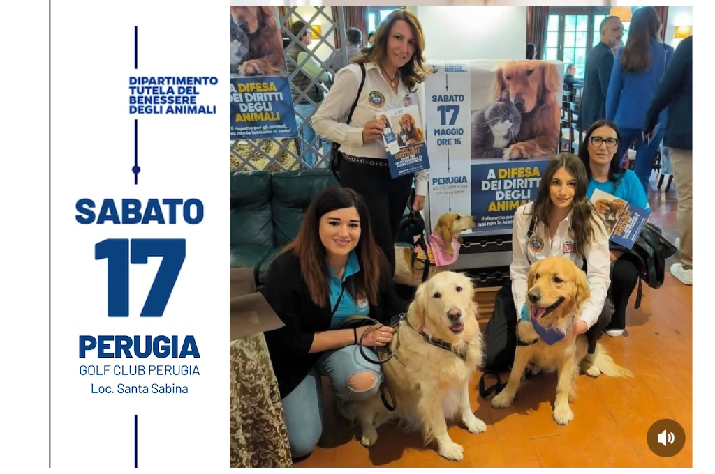 Benessere degli animali Perugia 2025