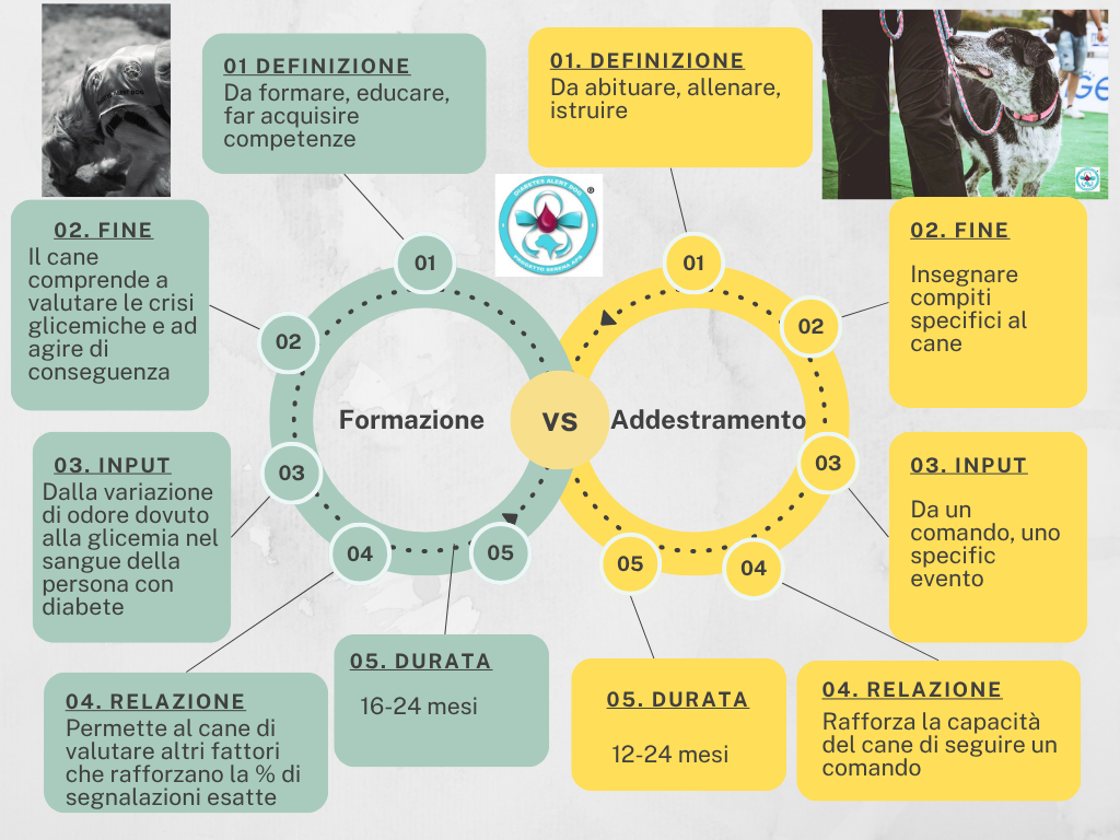 Addestramento vs formazione