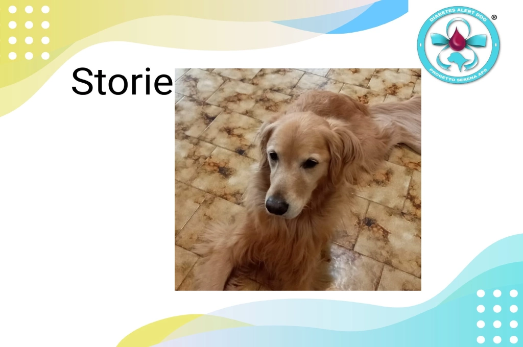 Cane allerta diabete Napoli
