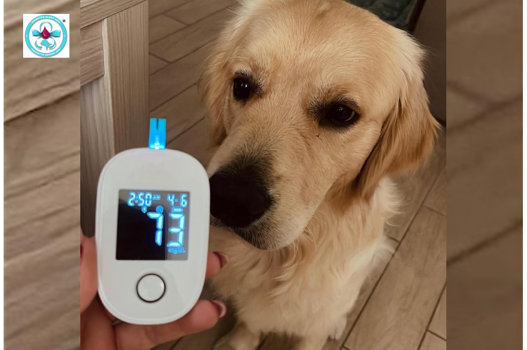 Affidabilità cane allerta diabete