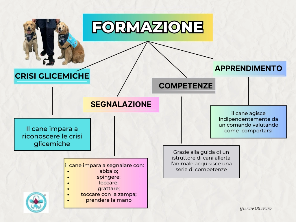 ruolo-della-formazione ruolo-della-formazione