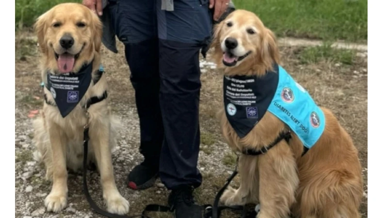 Ruolo istruttore cani allerta