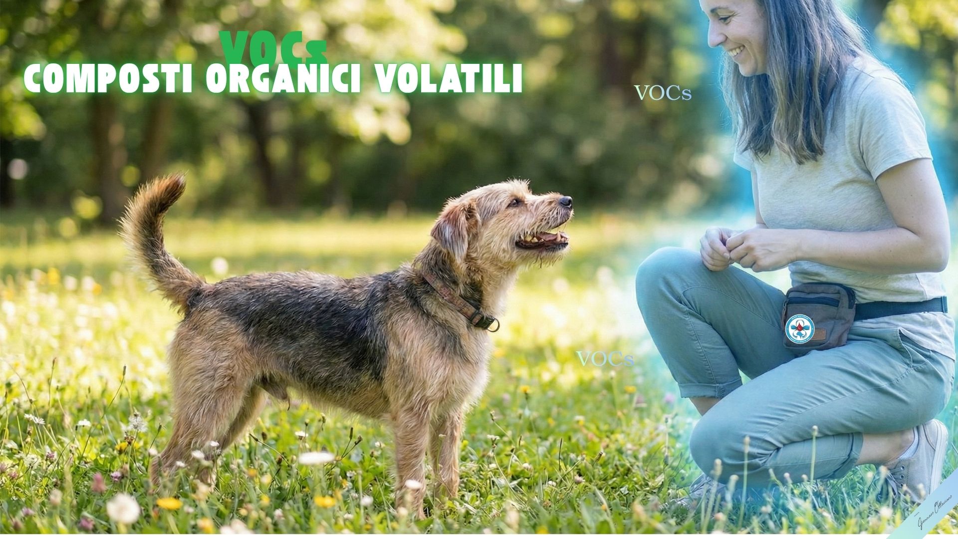 Cosa sono i VOcs2