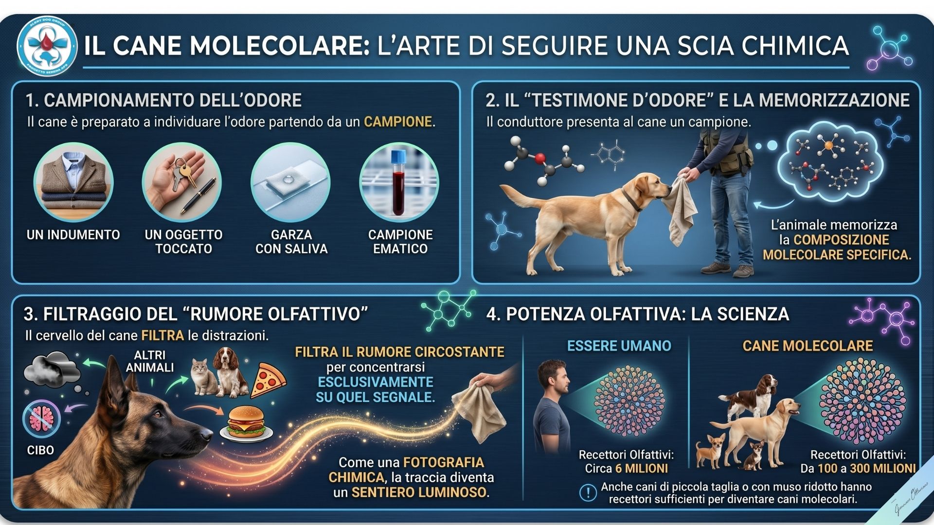 Come funziona un cane molecolare